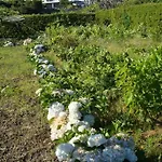 Feriehus Silveira's *
