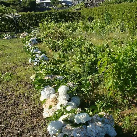 Holiday home Silveira's *