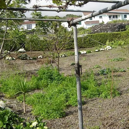 Dom wakacyjny Silveira's *